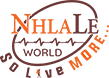 Business Branding Solutions - Nhlale World