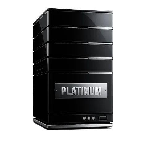 Platinum Hosting Server for premium web hosting – BadBoi Designs
